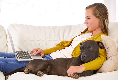 Buy stock photo Woman, typing and laptop by dog on couch, sofa and relax at home with technology, internet and connection for online blog. Female person, pet and computer in living room, house and apartment