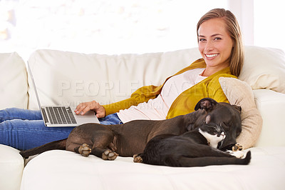 Buy stock photo Portrait of an attractive young woman using a laptop while sitting on the sofa with her dog and cat