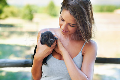 Buy stock photo Woman, pig and animal in outdoor or farmy for pet, volunteer and bonding for play and care. Young person and smile with piglet in hand for adorable, love and cute for stroke on fur for affection