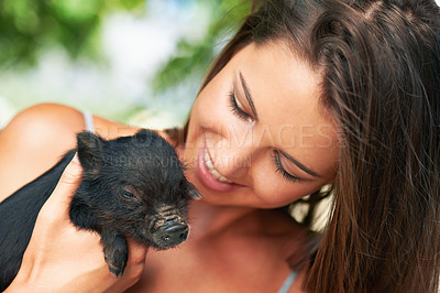 Buy stock photo Woman, pig and happiness for volunteer, charity organization and rescue center. Welfare, smile and female person with piglet for foster care, adoption and animal sanctuary for nonprofit or ngo