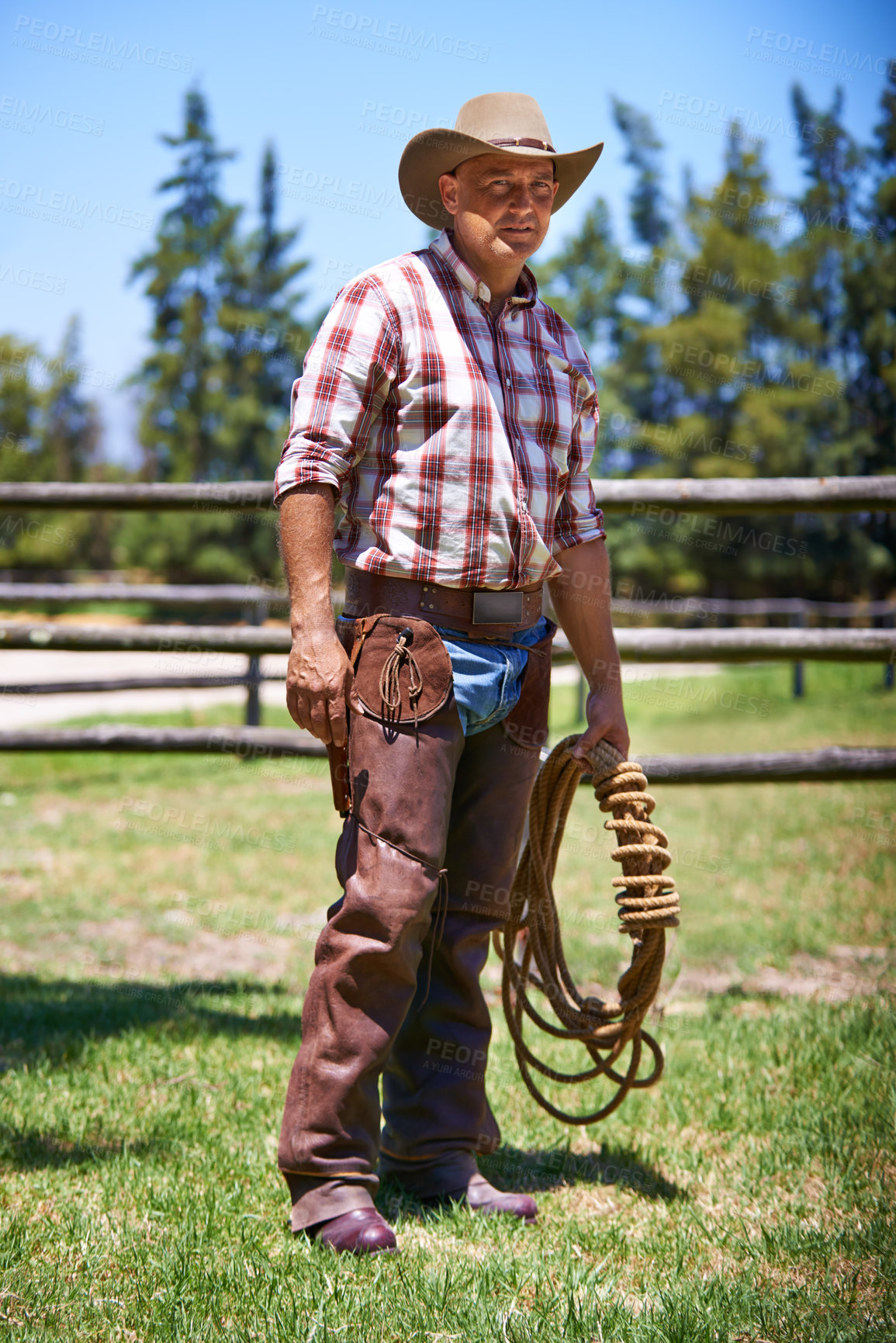 Buy stock photo Farm, ranch and portrait of senior cowboy with rope lasso for horse, cows and rodeo animals for agriculture. Farming, nature and mature man in environment, countryside and working outdoors in Texas