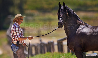 Buy stock photo Cowboy, horse and reins on farm in nature and equestrian park in western ranch in country. Strong, stallion or healthy animal of american quarter thoroughbred, outdoor and calm with trainer in texas