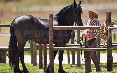 Buy stock photo Cowboy, horse and together on farm in nature, pride and bonding on western ranch in country. Strong, stallion or healthy animal of american quarter thoroughbred, outdoor and calm by trainer in texas