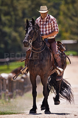 Buy stock photo Cowboy, horse and riding on ranch, equestrian and saddle ride on animal. Stallion, gallop or trot in countryside and outdoor with male senior person, farm and stable in Texas for exercise for mare