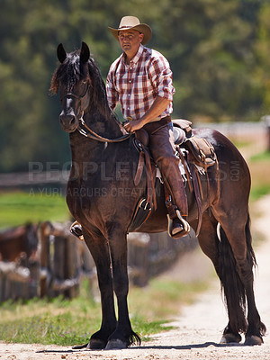 Buy stock photo Cowboy, farm and relax on horse in outdoor, wellness and equestrian sport on western ranch. Strong, stallion and jockey on healthy animal or arabian colt, friends and bonding together for training