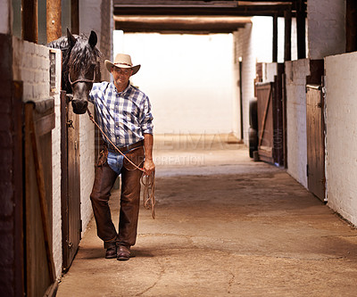 Buy stock photo Portrait, cowboy and man at barn with horse in a stable in Texas with mockup space. Animal, rancher and confident male person in western hat, casual clothes and a farmer with rope for equestrian