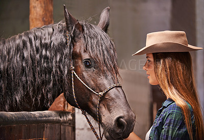 Buy stock photo Horse, farm and ranch owner with woman in barn or stable for work in agriculture or sustainability. Cowgirl, texas or western and serious animal farmer or owner with stallion for equestrian training