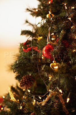 Buy stock photo Christmas tree, decor and interior with lights, ball ornament or bauble for festive, celebration or December at home. Closeup of greenery, decoration or traditional season for new year or holiday