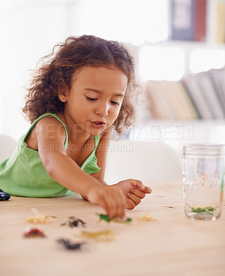 Buy stock photo Girl, child development and toy insect for science in living room of home for education or growth. Study, education and biology with young kid playing in apartment, learning about natural world