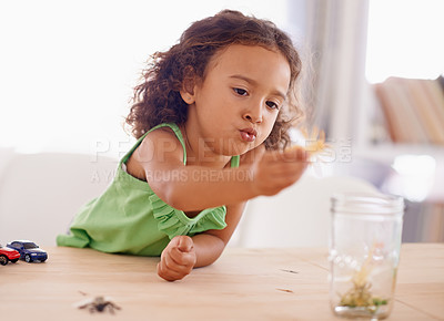 Buy stock photo Girl, child development and toy insect for education in living room of home for education or growth. Study, science and biology with young kid playing in apartment, learning about natural world