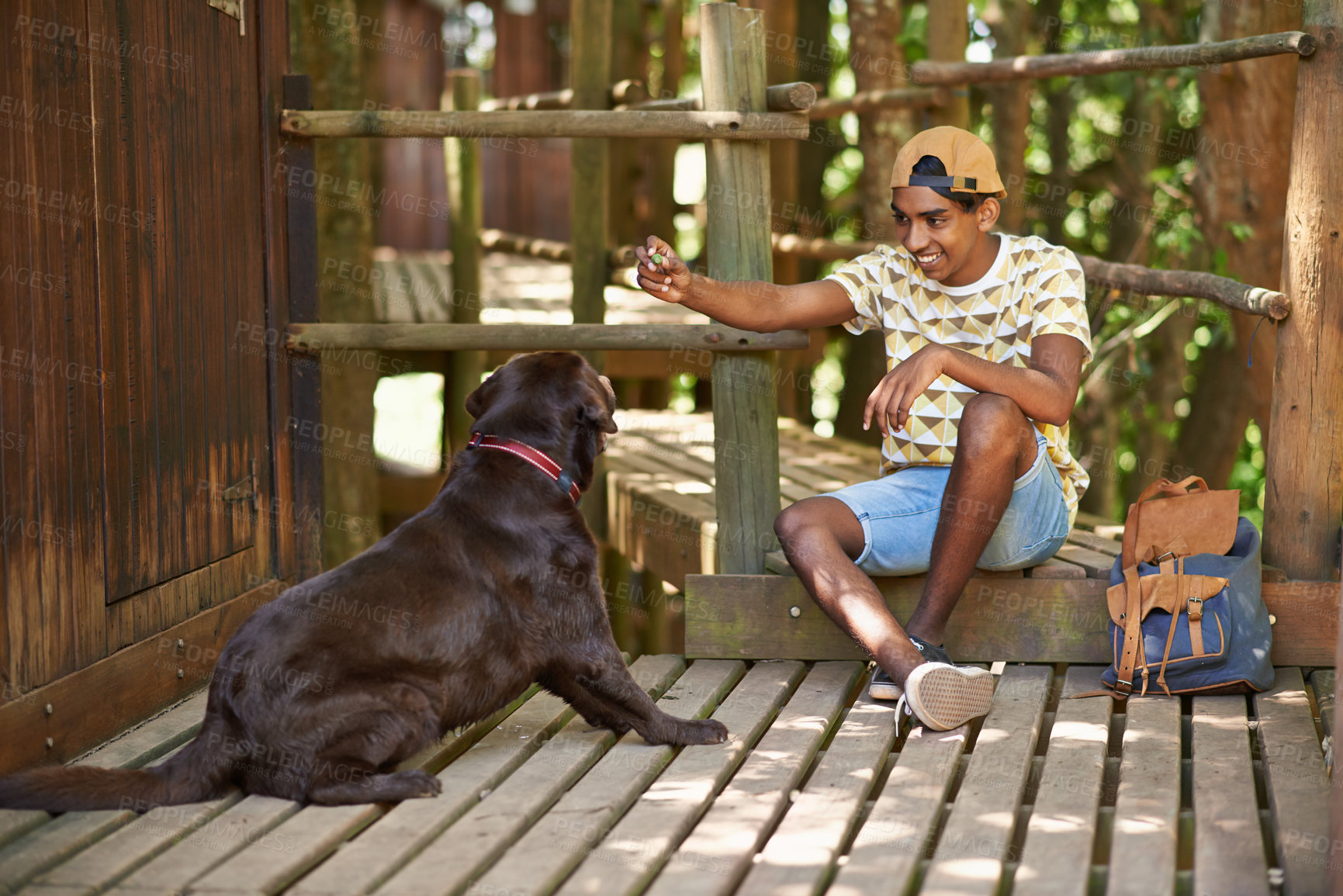 Buy stock photo Boy, dog and treat for training outdoors, pet care and scratch for bonding in backyard on weekend. Male person, teen and feeding animal with snack for nutrition or reward, loyalty and food for eating