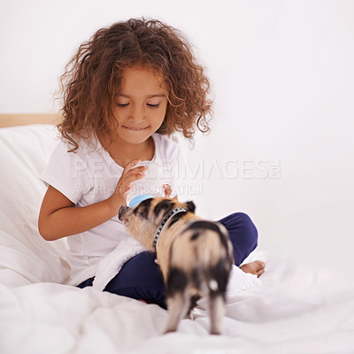 Buy stock photo Child, piglet and feeding bottle for food in home, pet care and liquid nutrition on bed in bedroom. Female person, girl and learn responsibility in childhood, love and relax by animal with formula