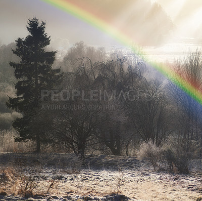 Buy stock photo Winter, landscape and woods with trees or rainbow on cold morning for weather, climate and season. Outdoor nature, sky and field in forest for ecosystem background, environment or natural habitat