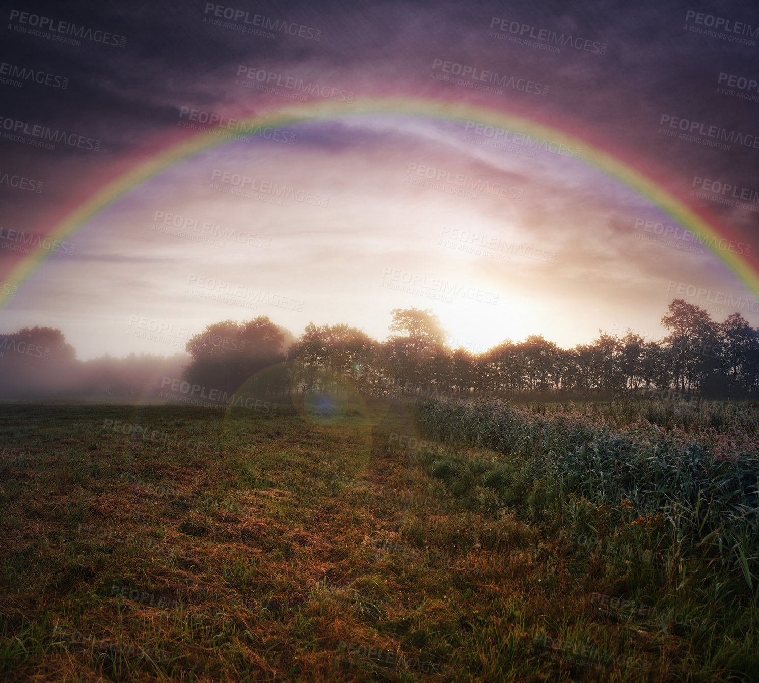 Buy stock photo Field, farm and rainbow or grass environment or sky sunset in countryside meadow or vegetation, wheat or flora. Plants, nature and forest with lens flare or outdoor climate or remote, view or morning