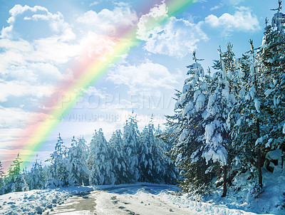 Buy stock photo Winter, rainbow and landscape of forest with snow on trees in countryside, environment or woods. Sunshine, clouds or peace in nature with colors in sky like heaven, magic on earth and ice on plants