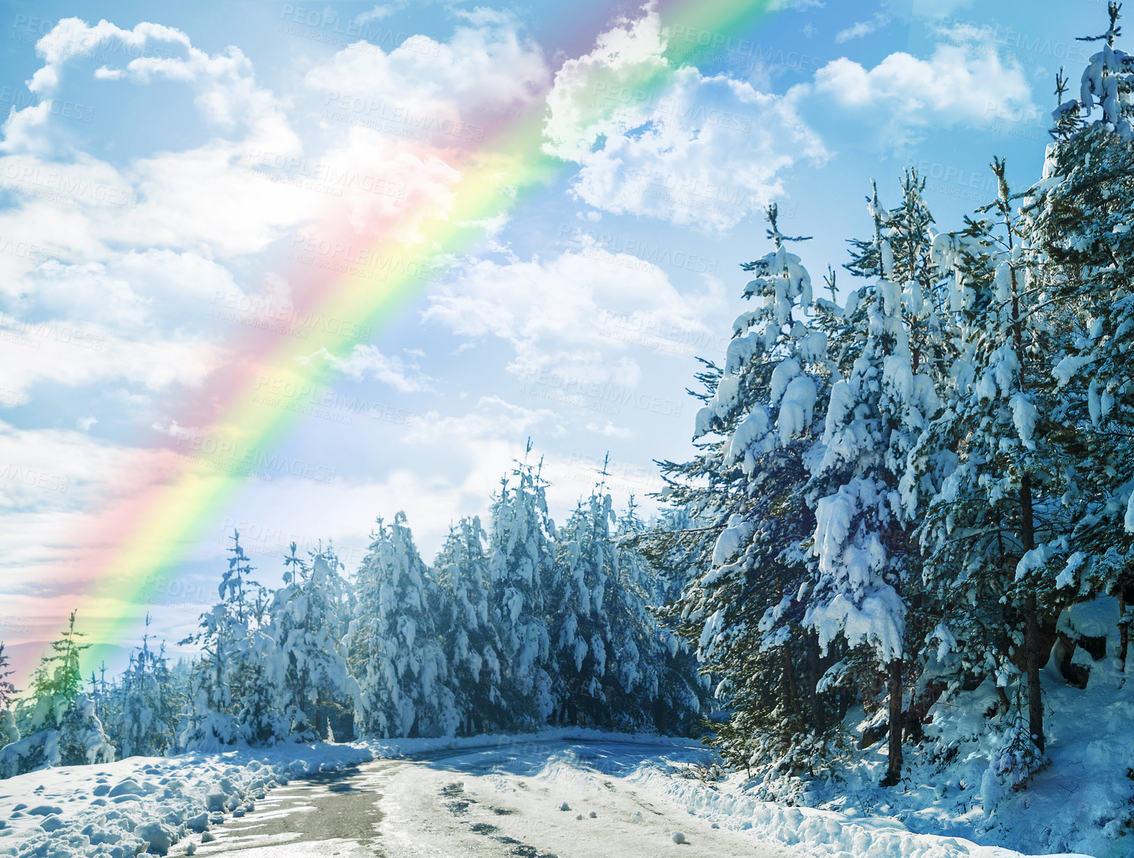 Buy stock photo Winter, rainbow and landscape of forest with snow on trees in countryside, environment or woods. Sunshine, clouds or peace in nature with colors in sky like heaven, magic on earth and ice on plants