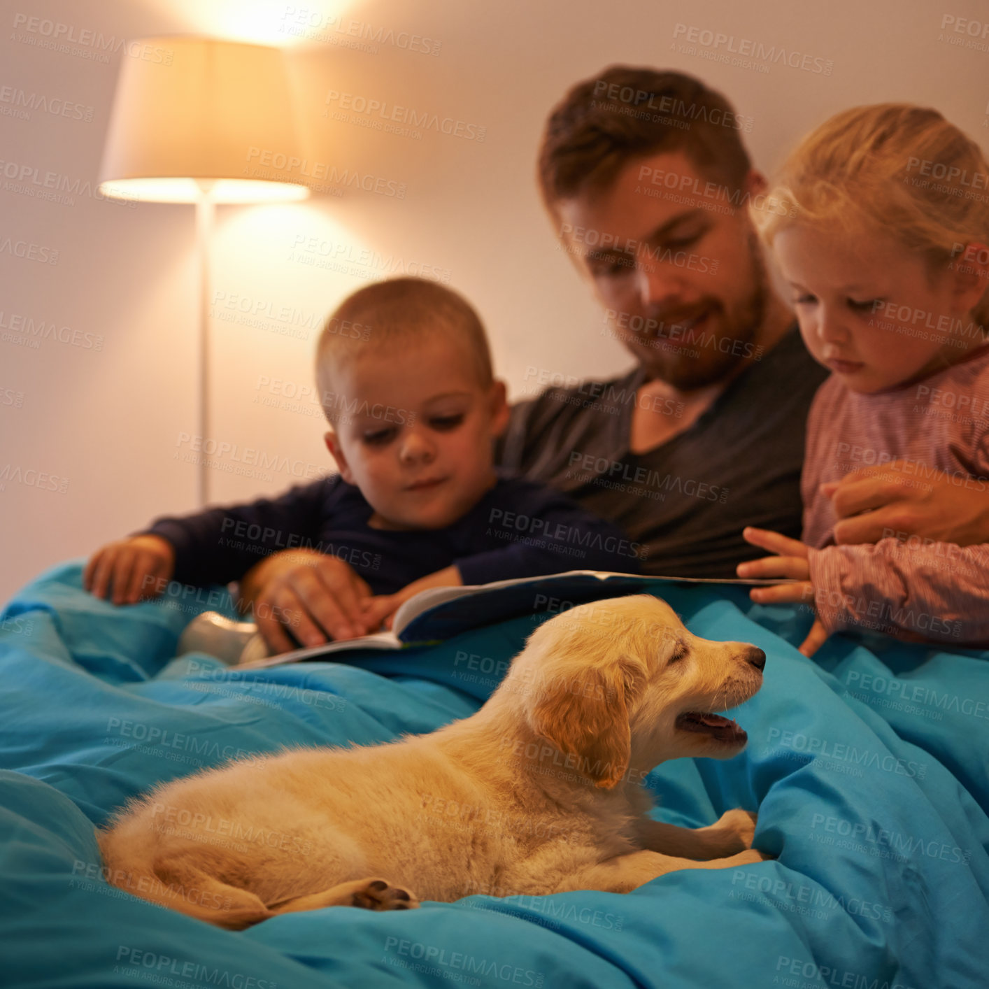 Buy stock photo Night, books or father with kids in bed for reading, learning and bonding with dog at home Love, family and dad with children in bedroom for storytelling, fantasy or literature for teaching pet care