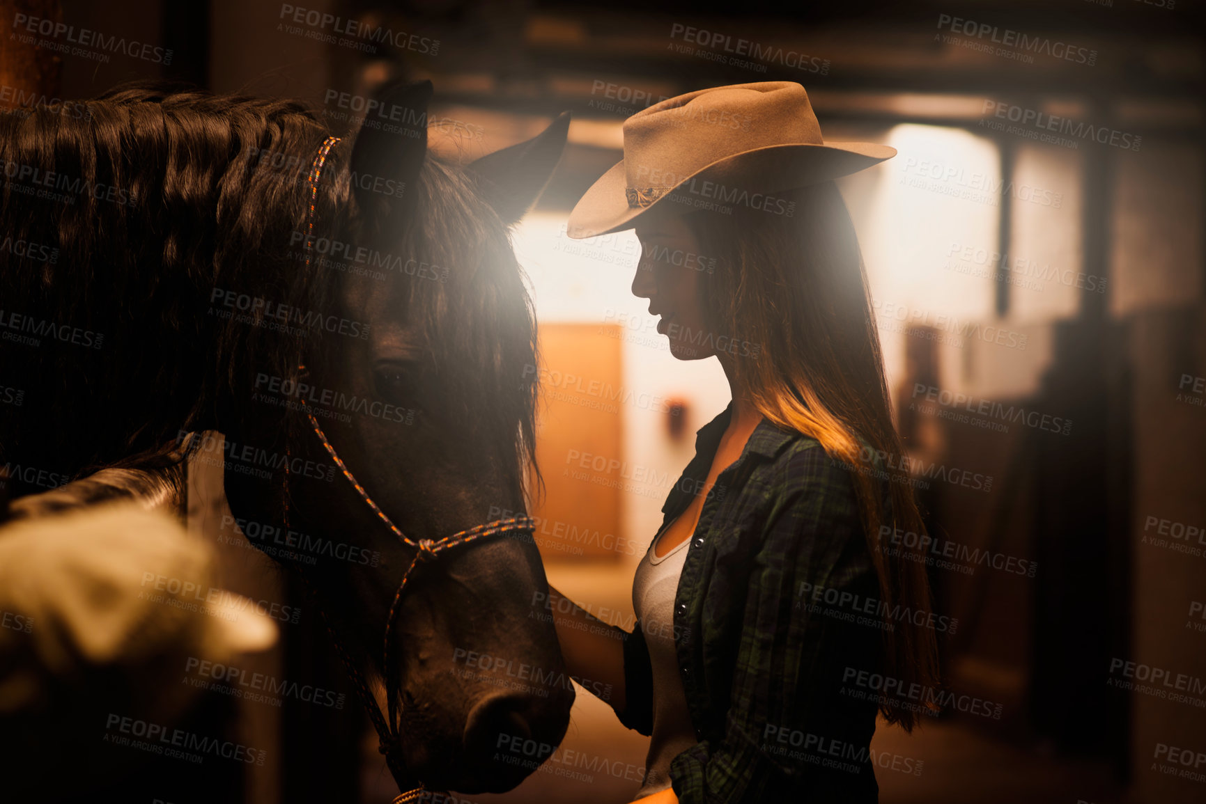Buy stock photo Cowgirl, friends and woman with horse at barn or stable in Texas for recreation. Western, female person and animal at ranch with pet or stallion for hobby with care for livestock at equestrian farm