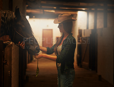 Buy stock photo Cowgirl, smile and woman with horse at stable or barn in Texas for recreation. Western, animal and happy person at a ranch with pet, friendship and stallion for hobby with care at equestrian farm