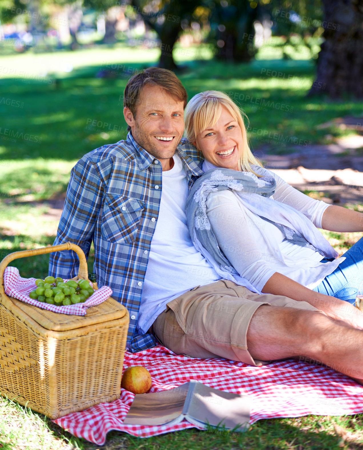 Buy stock photo Shot of an affectionate couple enjoying a picnic in the sun