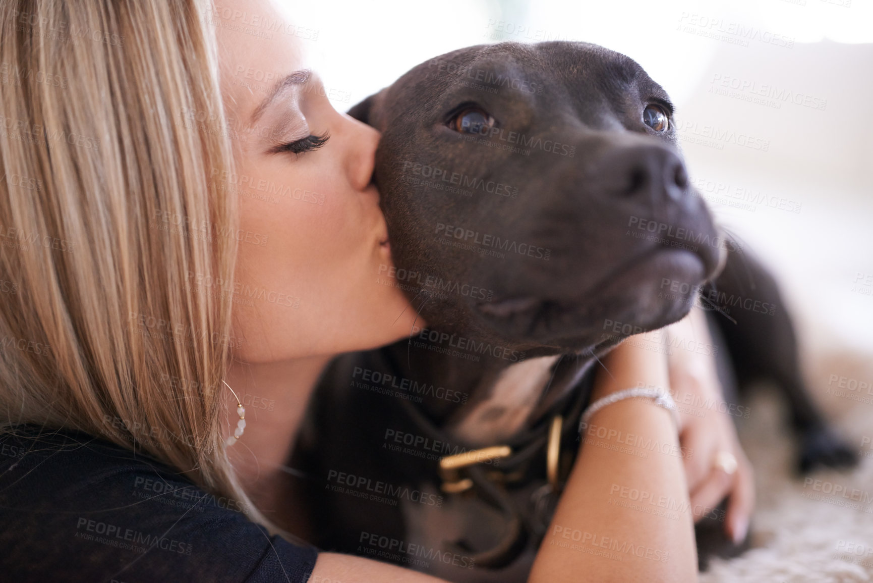 Buy stock photo Love, kiss or woman and dog in a house with trust, care and bonding at home together. Pets, face and female person relax with pitbull puppy hug in living room for security, attention or foster safety