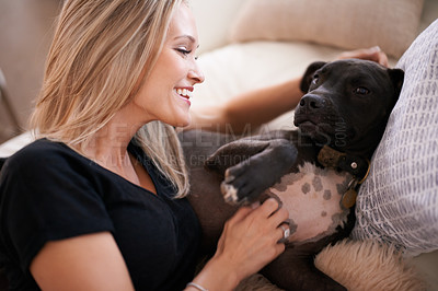 Buy stock photo Happy, scratch or woman and dog on a sofa with love, care and bonding at home together. Pets, attention and female person relax with pitbull puppy in living room with security, trust or foster safety