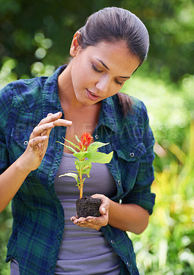 Buy stock photo Woman, gardening and plants with soil, flowers and hobby with fresh air or spring with earth day. Person, outdoor or girl with nature, peace or countryside with agriculture, growing or sustainability