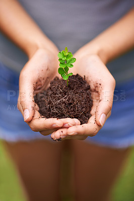 Buy stock photo Fertilizer, sustainable and hands of woman with plant for eco friendly, agriculture or agro gardening. Soil, environment and closeup of person with bloom flower in nature for outdoor horticulture.