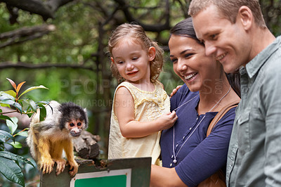 Buy stock photo Cropped shot of a happy young family spending the day at a monkey sanctuary