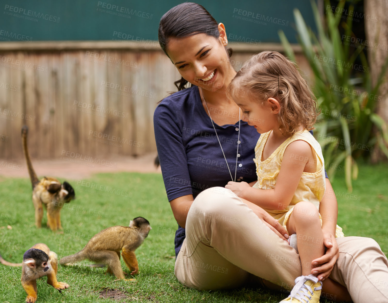 Buy stock photo Animal, mother and young girl with monkey for wildlife rescue, outdoor activity or interactive experience in nature. Conservation, zoo and happy family for bonding, holiday and travel at sanctuary