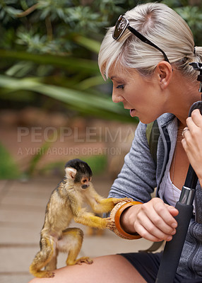 Buy stock photo Cropped shot of a young woman interacting with a little monkey at a wildlife park
