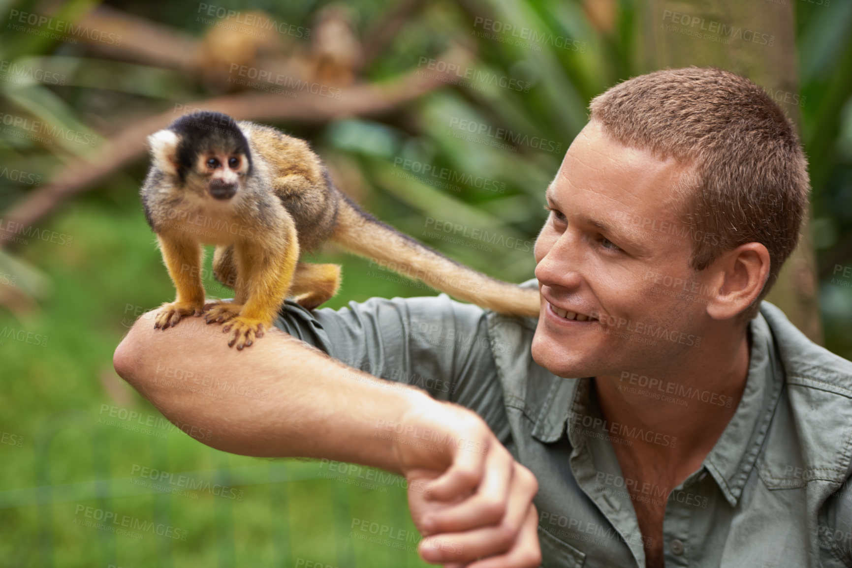 Buy stock photo Shot of a young man interacting with a little monkey at a wildlife park