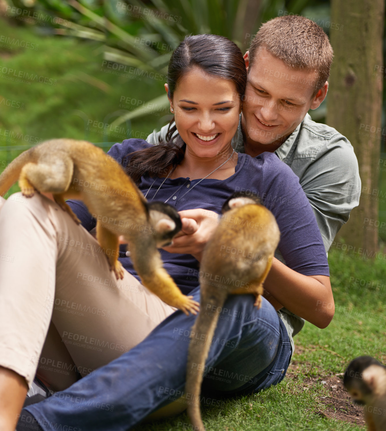 Buy stock photo Monkey, animal and zoo with couple together for wildlife rescue, outdoor activity or interactive experience in nature. Conservation, date and happy people for bonding, holiday or travel at sanctuary