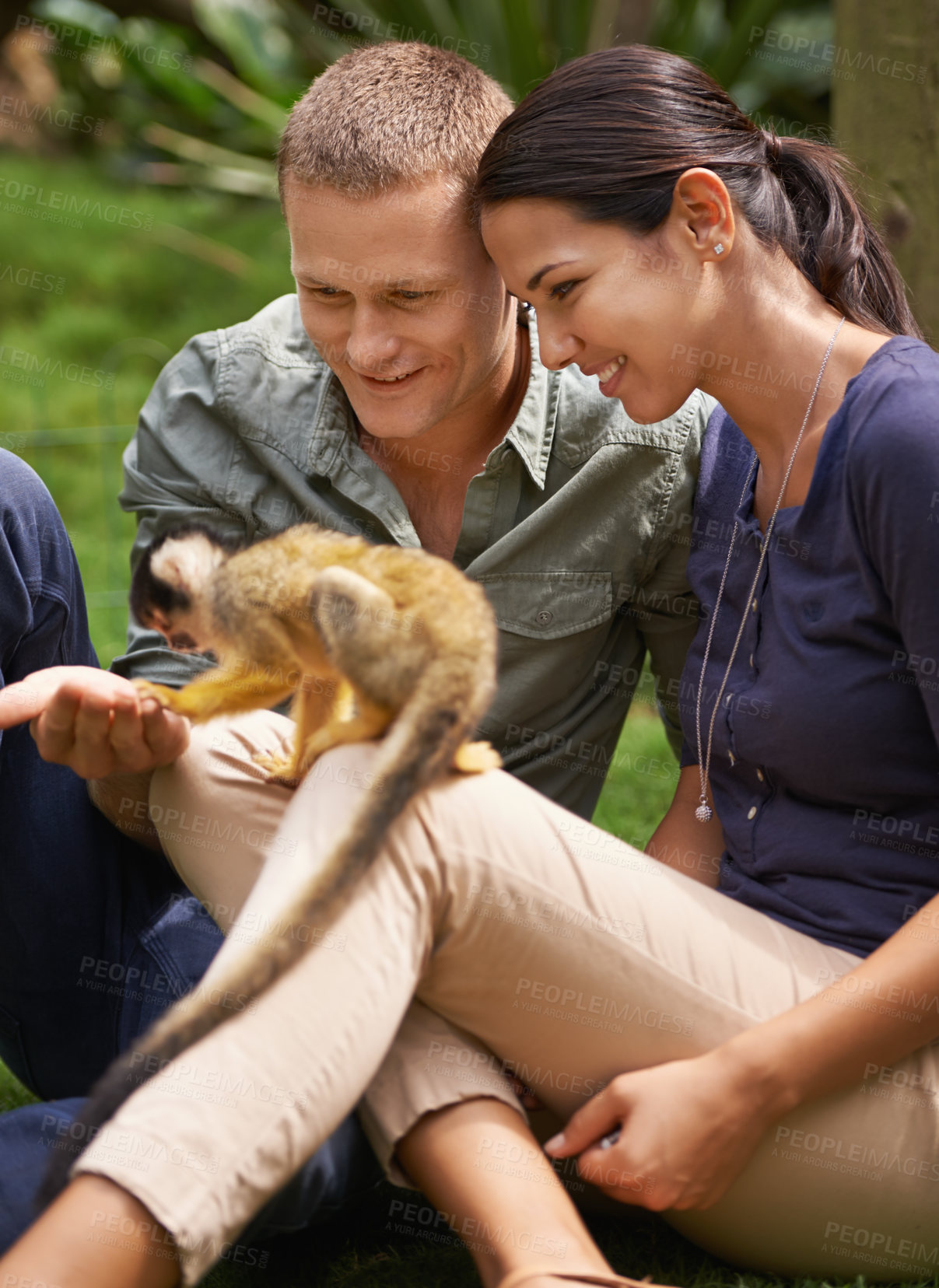 Buy stock photo Monkey, nature and park with couple at zoo together for outdoor activity or interactive experience. Date, love or smile with happy young man and woman bonding at animal sanctuary for sustainability