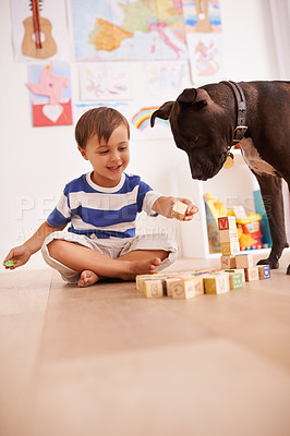 Buy stock photo A young boy playing with building blocks in his room while his dog watches