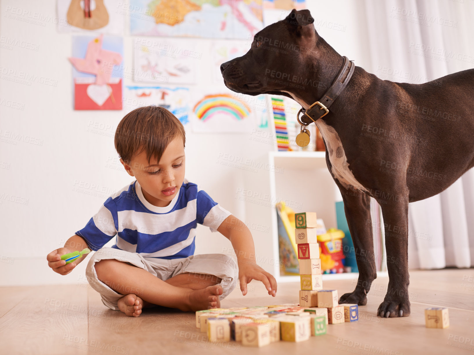 Buy stock photo Child, toy and development in playroom with dog for friends and learning with color and picture for fun at home. Young kid and recreation for childhood and growing for innocent and adorable with pet 