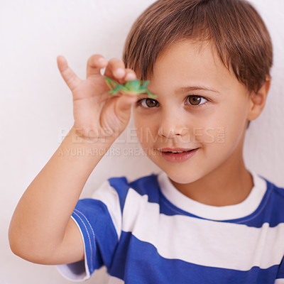Buy stock photo Child, learning and happy to study an insect closeup with investigation for science education. Kid, check and observe bug in inspection on studio background for biology, knowledge and development