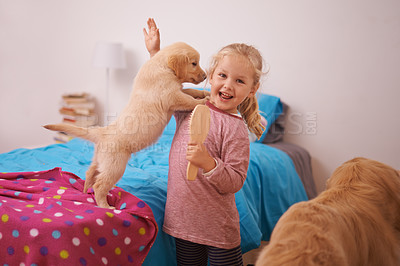 Buy stock photo Girl, child and puppy with portrait on bed for playing, bonding and protection in bedroom of home with brush. Kid, golden retriever and dog for companion, affection and embrace with care in apartment
