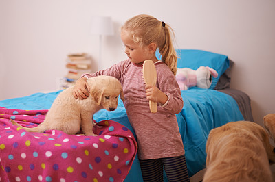 Buy stock photo Girl, child and puppy with embrace on bed for playing, bonding and protection in bedroom of home with brush. Kid, golden retriever and dog for companion, affection and hug with pet care in apartment