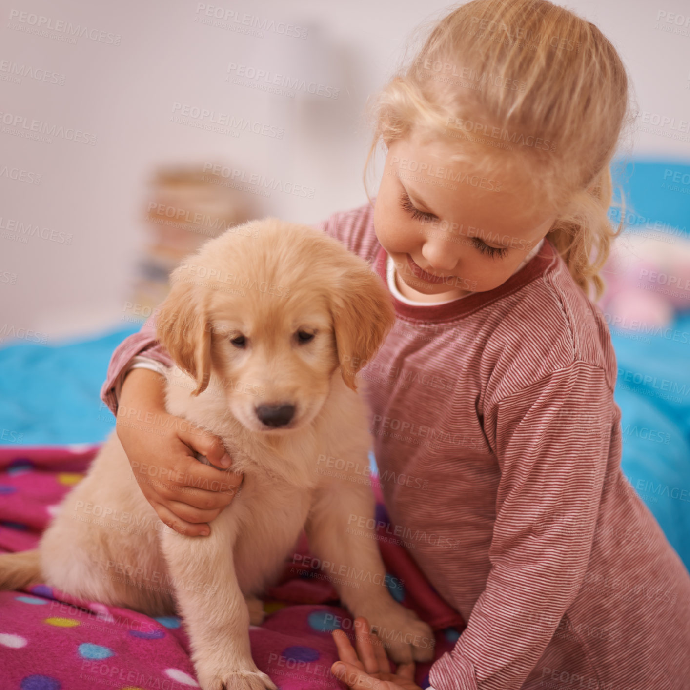 Buy stock photo Girl, child and golden retriever with hug on bed for playing, bonding and protection in bedroom of home with love. Kid, puppy and dog for companion, affection and embrace with pet care in apartment