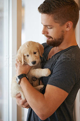 Buy stock photo Cropped shot of a young man holding a puppy