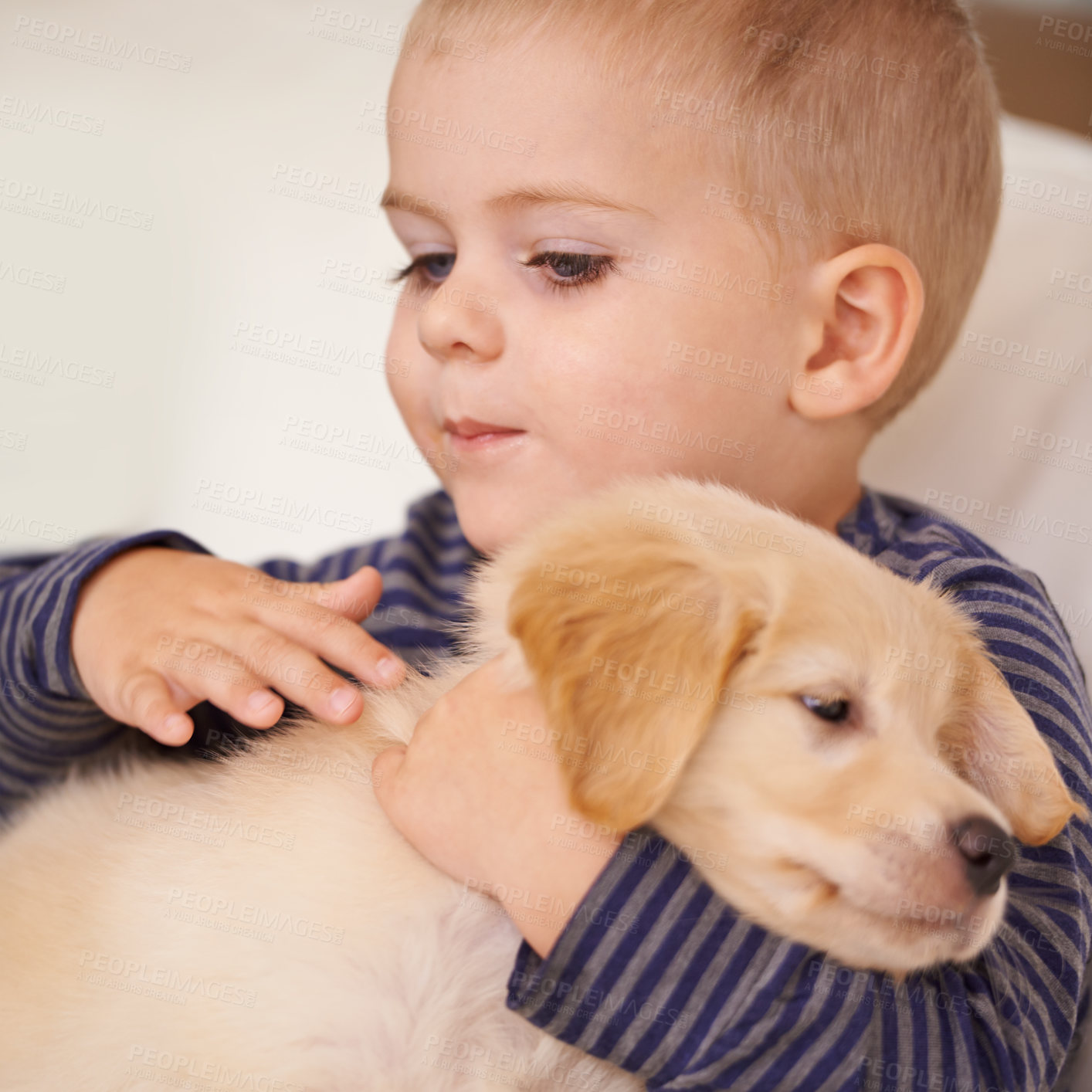 Buy stock photo Closeup shot of a little boy petting a puppy