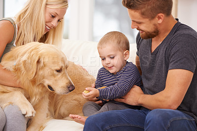Buy stock photo Shot of a small family sitting together with their dog
