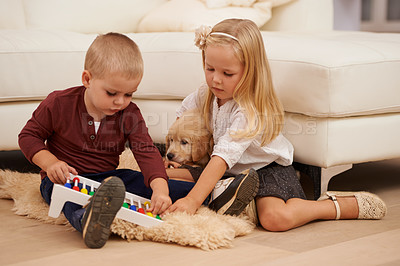 Buy stock photo Children, puppy and toy in a home with animal, pet and youth development in a living room. Golden retriever, kids and fun with dog together by a couch in a house with bonding and sibling on the floor