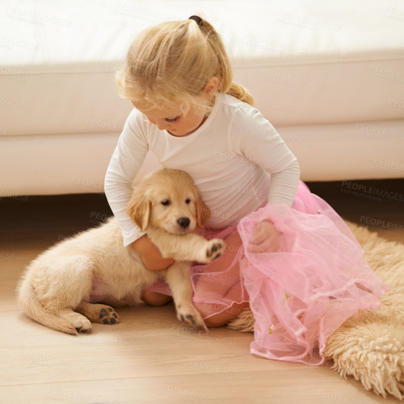 Buy stock photo Child, golden retriever or dog playing together in a happy home with love, care and development. Girl kid and animal, puppy or pet in a tutu for dress up game as friends on the living room floor 