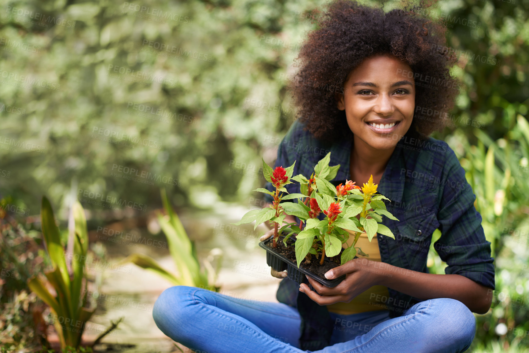 Buy stock photo Black woman in garden, smile in portrait with gardening and plant or flower, botany and young gardener outdoor. Happy female person with growth, environment and plants out in nature with landscaping