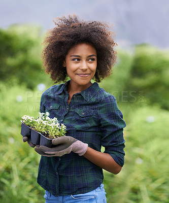 Buy stock photo Black woman in garden, smile while gardening with flowers and botany, young gardener outdoor and environment. Happy female person with green fingers, growth and plants in nature with landscaping