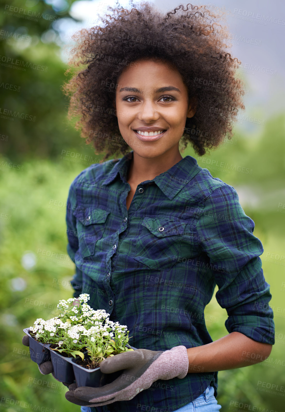 Buy stock photo Black woman with flower, smile while gardening and botany, young gardener in portrait with growth outdoor. Happy female person with green fingers, growth and plants in nature with landscaping