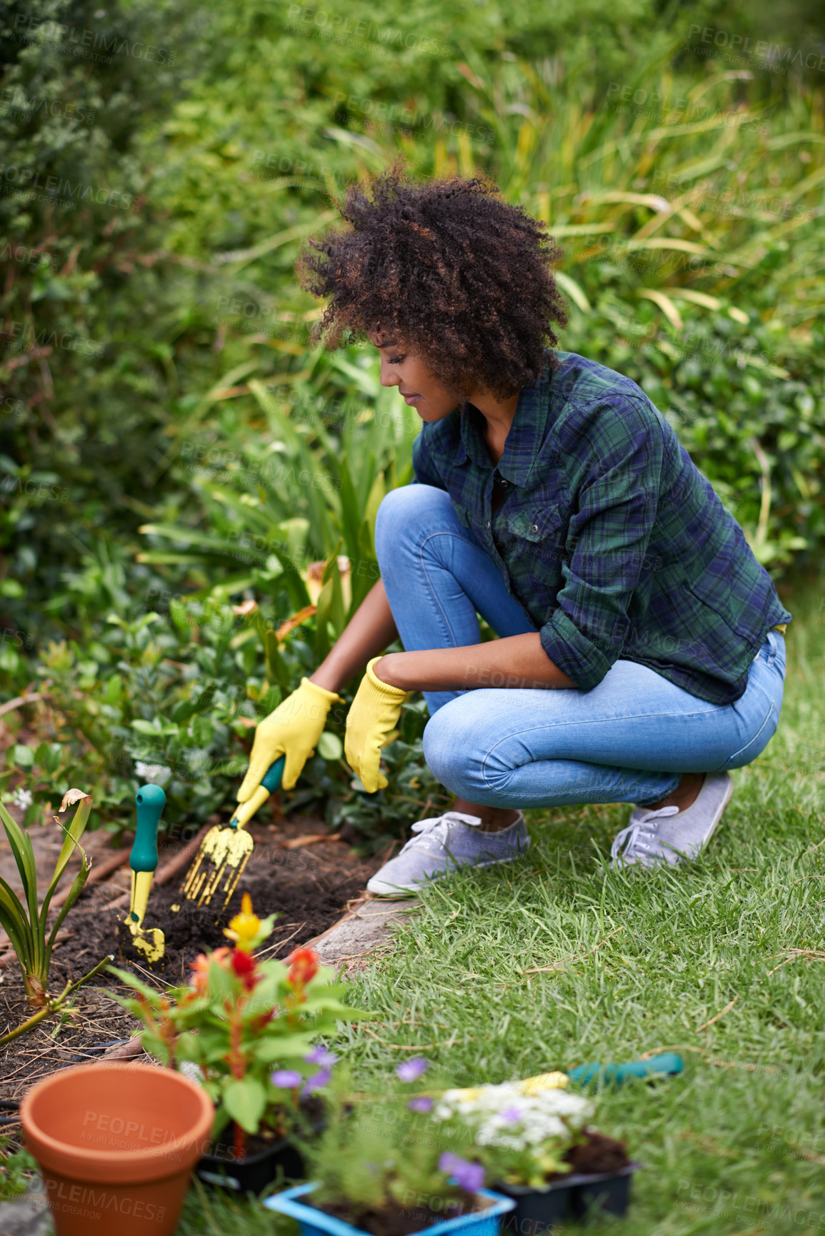 Buy stock photo Woman, gardening and fork for soil, plants and happy for spring, outdoor and sustainability. Girl, African person and smile on ground for growth, development and nature with ecology in backyard