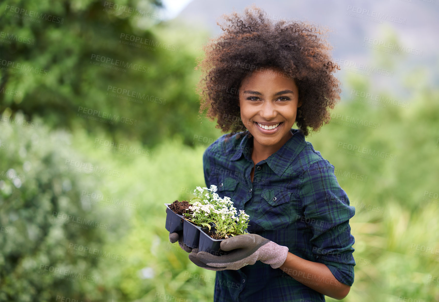 Buy stock photo Gardening, flowers and portrait of black woman with smile for nature skills, landscaping and planting. Spring, botany and happy person with plants in ecosystem, environment and garden for growth